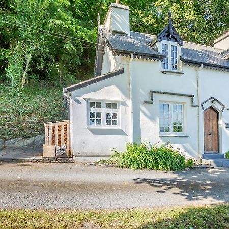 Braich-Y-Celyn Lodge Aberdyfi Eksteriør bilde